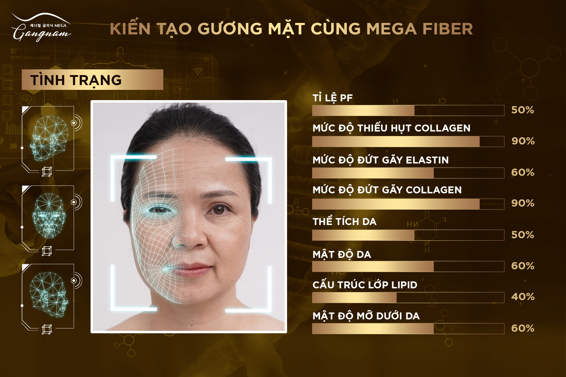 Hình ảnh phân tích tình trạng gương mặt và làn da với công nghệ A.I Perfect Face