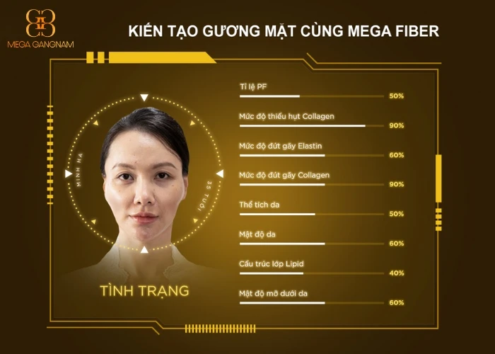 Tình trạng của khách hàng trước khi sử dụng Mega Fiber