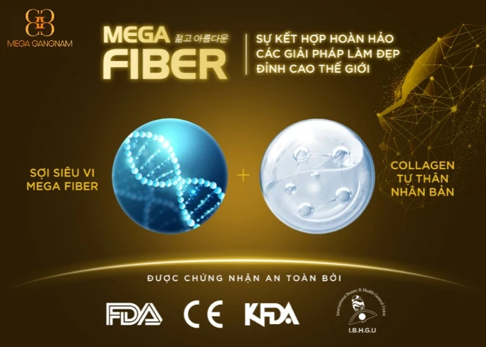 Mega Fiber - Sự kết hợp hoàn hảo các giải pháp làm đẹp đỉnh cao thế giới