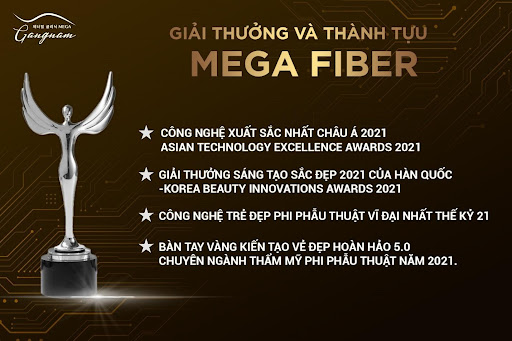 Mega Fiber vinh danh nhận được các giải thưởng danh giá