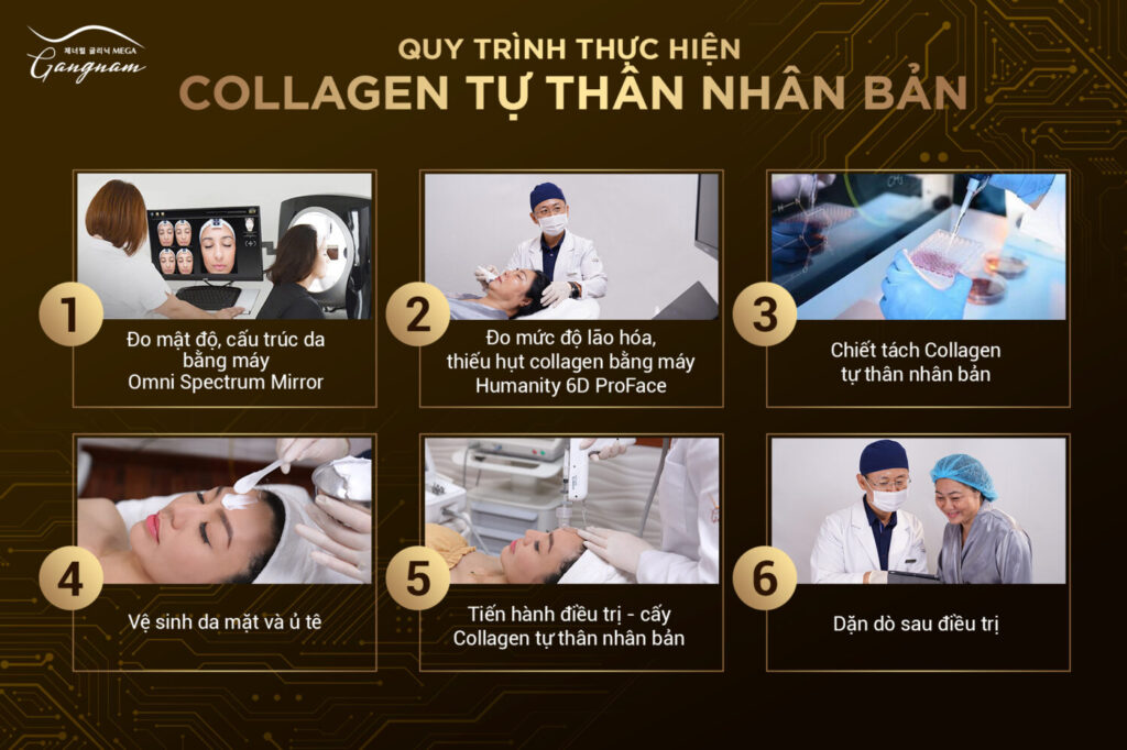 Quy trình thực hiện collagen nhân bản