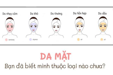 Cách phân biệt các loại da mặt