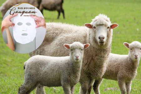 Tìm hiểu sự thật về công dụng của mặt nạ nhau thai cừu 