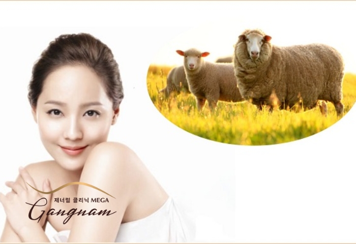 Tình trạng da được cải thiện một cách đáng kể sau khi sử dụng nhau thai cừu làm đẹp