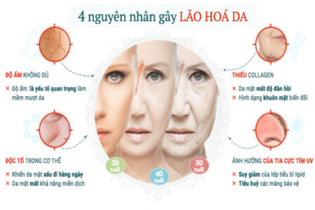 Nguyên nhân nào dẫn đến tình trạng da bị lão hóa