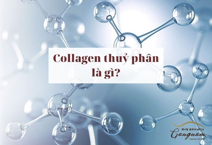 Collagen thuỷ phân là gì?