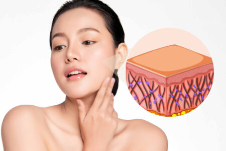 Elastin là gì? 3 Cách bổ sung elastin chống lão hóa tốt nhất hiện nay