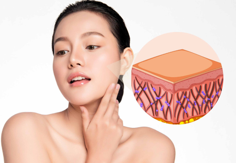 Elastin là gì? 3 Cách bổ sung elastin chống lão hóa tốt nhất hiện nay