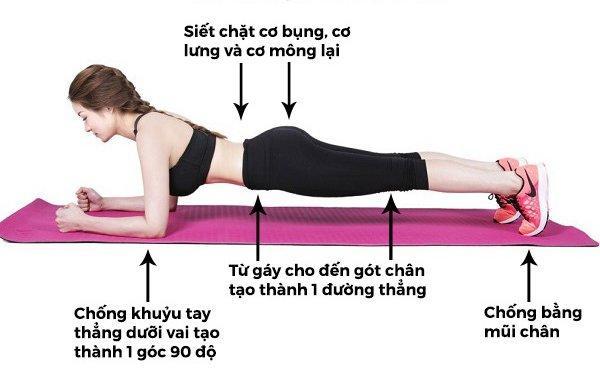 Bài tập plank 