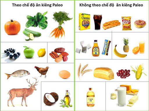 Thực đơn theo chế độ ăn kiêng Paleo