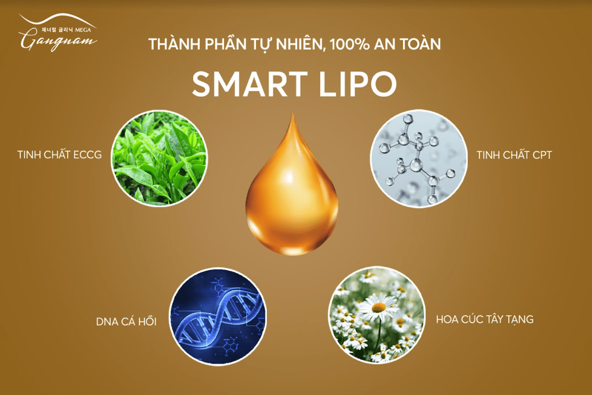 Smart Lipo chứa các thành phần giảm cân lành tính cực kỳ an toàn 