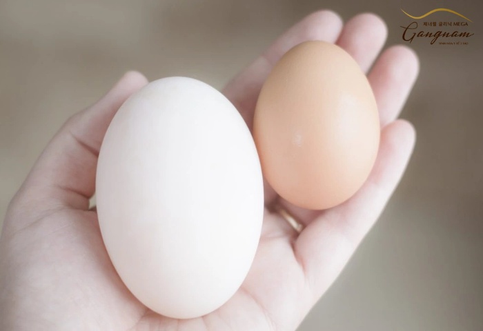 Trứng vịt và trứng gà, trứng nào tốt hơn?