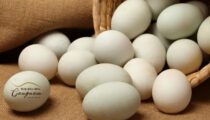Những lưu ý khi ăn trứng ngỗng 