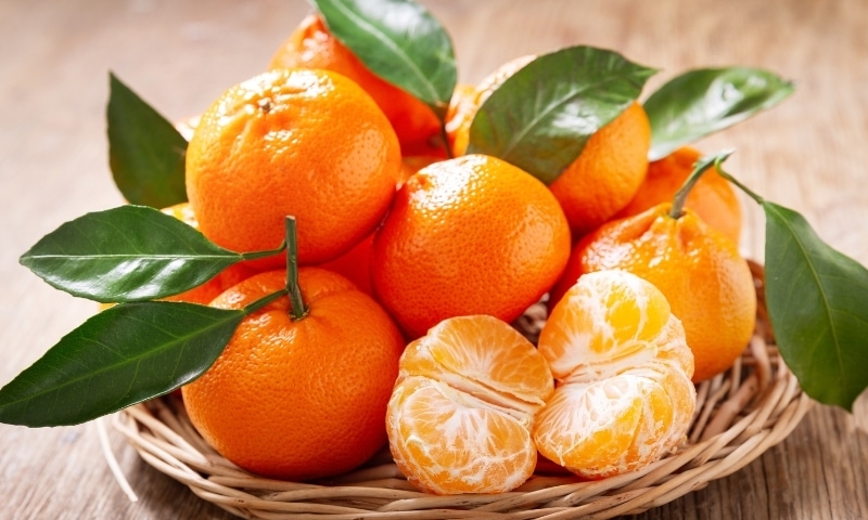 Vitamin C hỗ trợ kháng khuẩn, chống viêm, tăng đề kháng khi bị mụn
