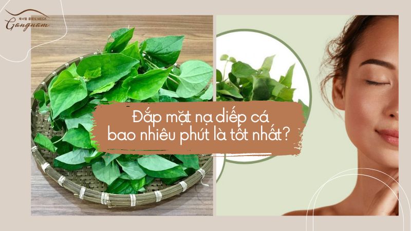 Đắp mặt nạ diếp cá bao nhiêu phút