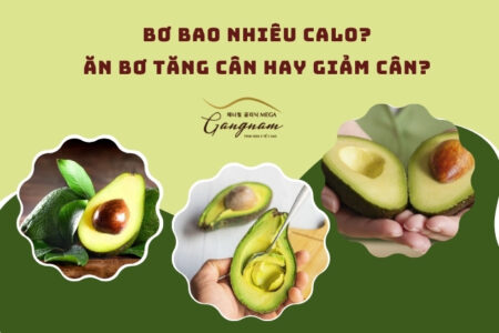 Bơ bao nhiêu calo? Ăn bơ tăng cân hay giảm cân?