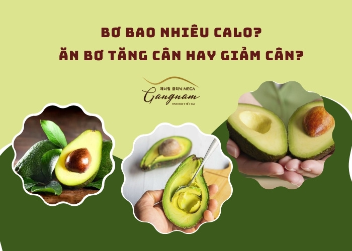 Bơ bao nhiêu calo? Ăn bơ tăng cân hay giảm cân?