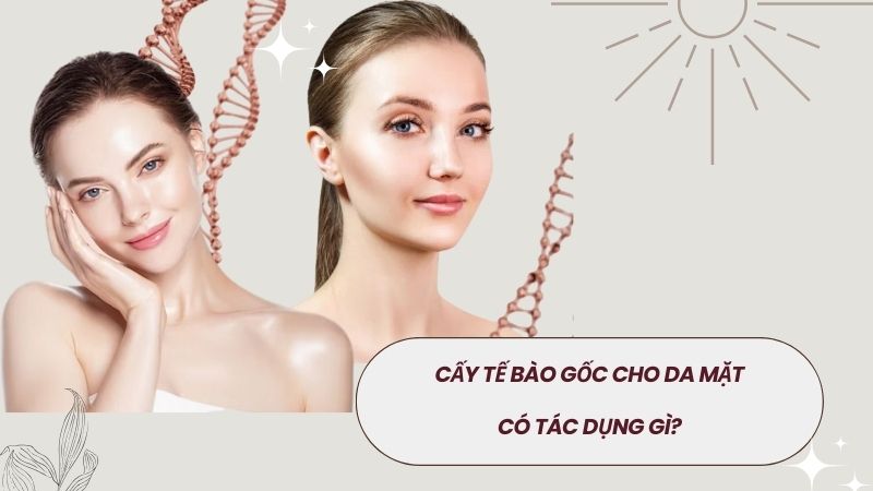 Tác dụng của tế bào gốc đối với da mặt là gì?