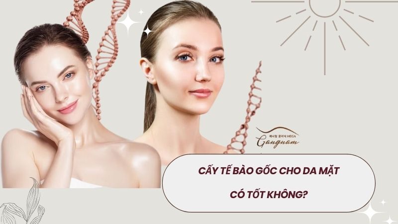 Cấy tế bào gốc cho da mặt có tốt không?