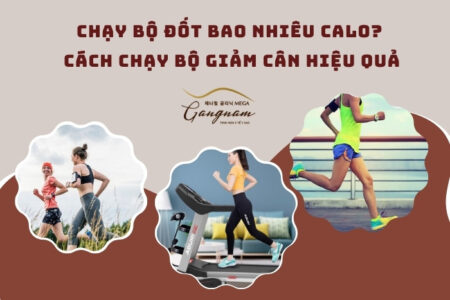 Chạy bộ đốt bao nhiêu calo?