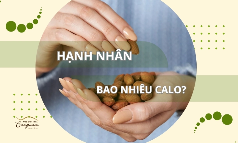 Giải đáp chi tiết 100g hạnh nhân bao nhiêu calo và hàm lượng này có cao không?