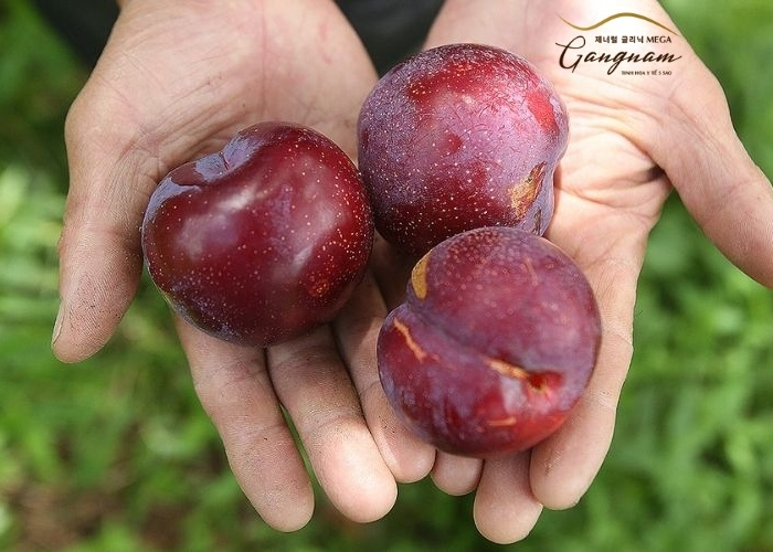 Ăn mận có béo không?