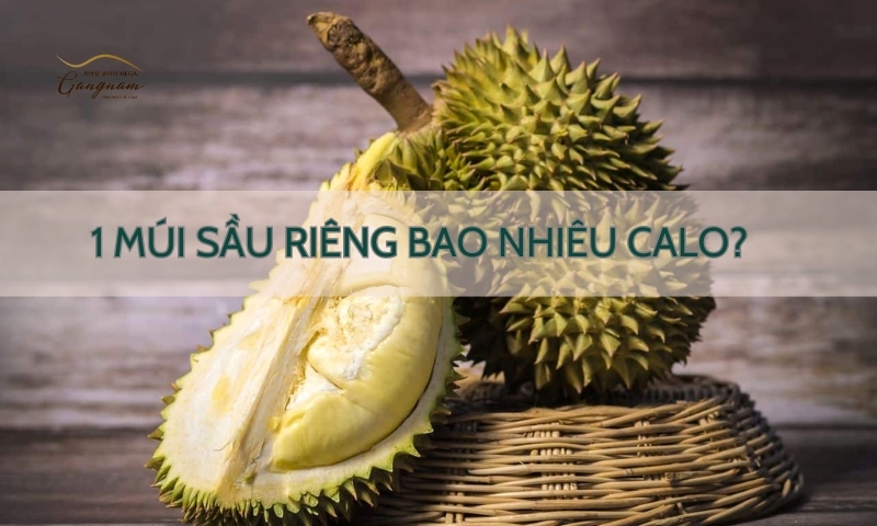 Giải đáp chi tiết thông tin sầu riêng bao nhiêu calo?