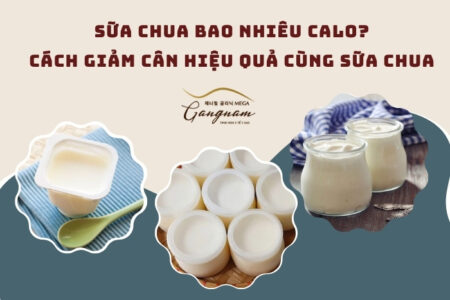 Sữa chua bao nhiêu calo? Cách giảm cân hiệu quả cùng sữa chua