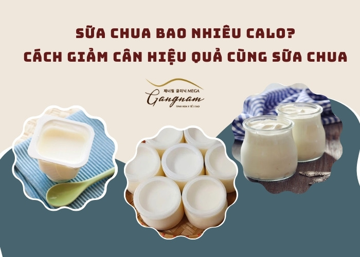 Sữa chua bao nhiêu calo? Cách giảm cân hiệu quả cùng sữa chua