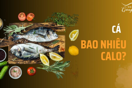 Cá bao nhiêu calo? Hàm lượng calo dựa trên từng loại cá cụ thể