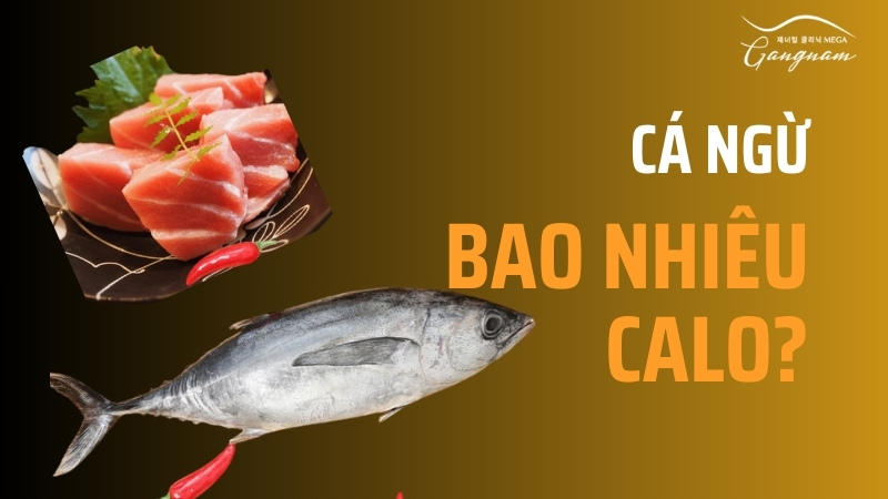 100g cá ngừ có bao nhiêu calo