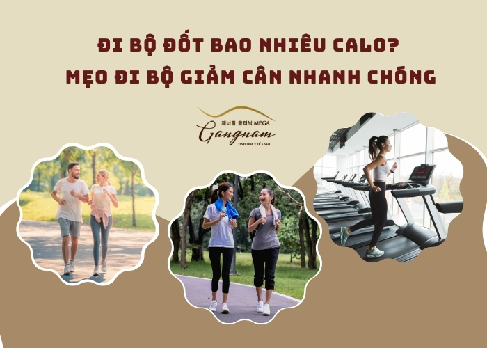 Đi bộ đốt bao nhiêu calo?