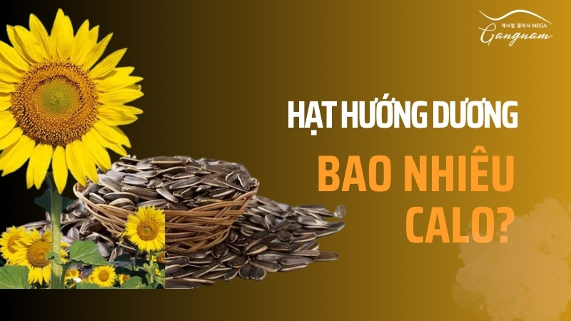 100g hat huong duong chua bao nhieu calo