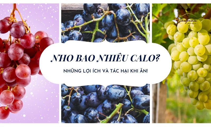 Giải đáp chi tiết nho bao nhiêu calo? Hàm lượng này có cao hơn các loại trái cây khác không?