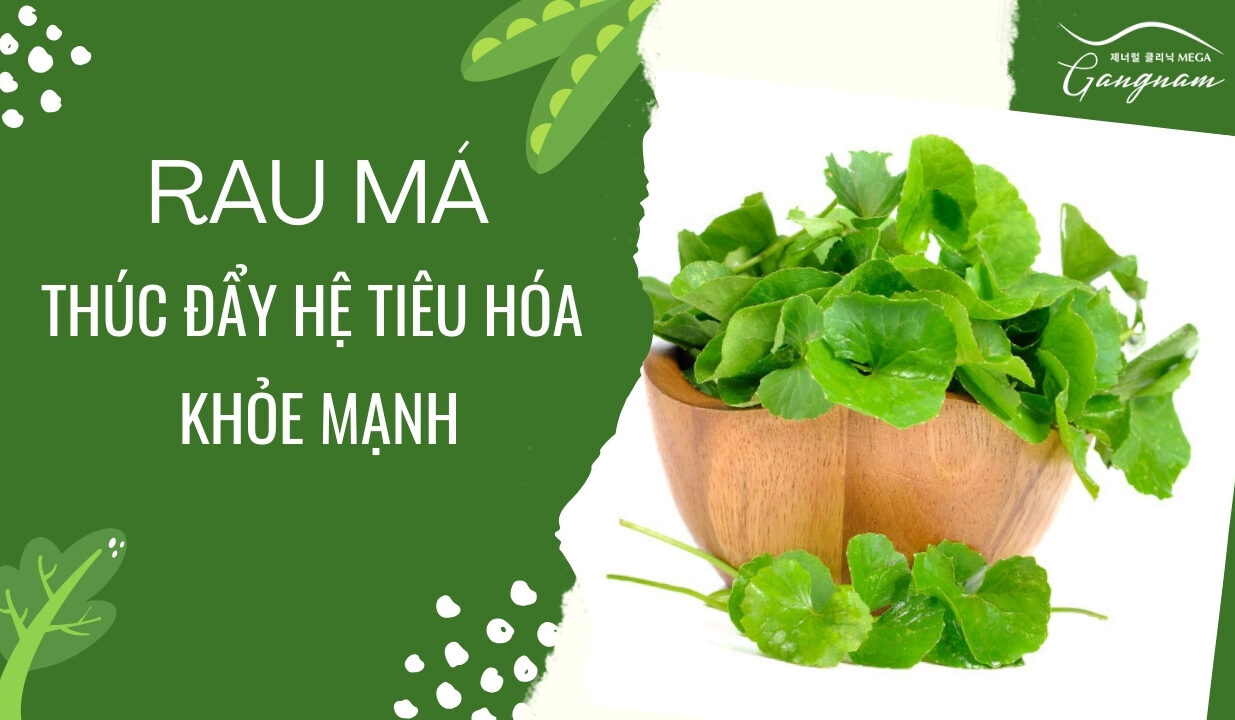 Rau má đặc biệt tốt cho hệ tiêu hóa và tuần hoàn, tăng đề kháng