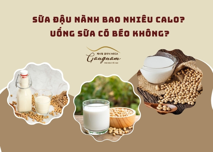 100ml sữa đậu nành bao nhiêu calo?