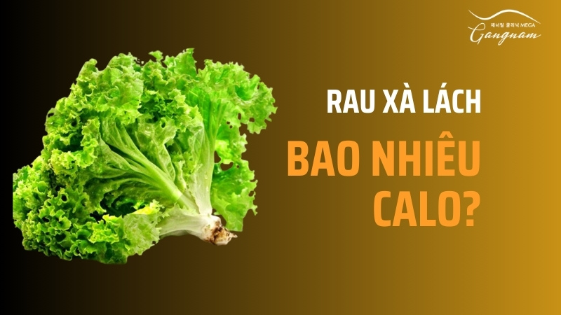 Rau xà lách bao nhiêu calo?