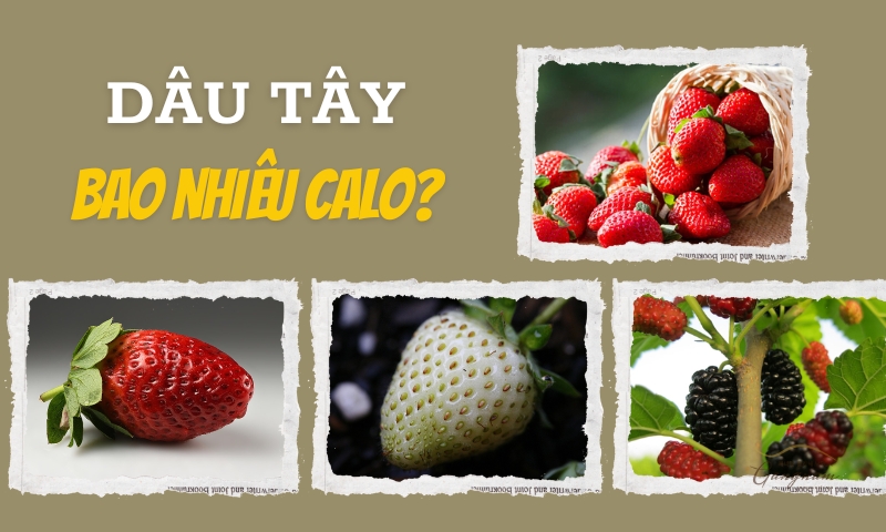 Giải đáp chi tiết dâu tây bao nhiêu calo và có những lợi ích gì đối với sức khỏe? 