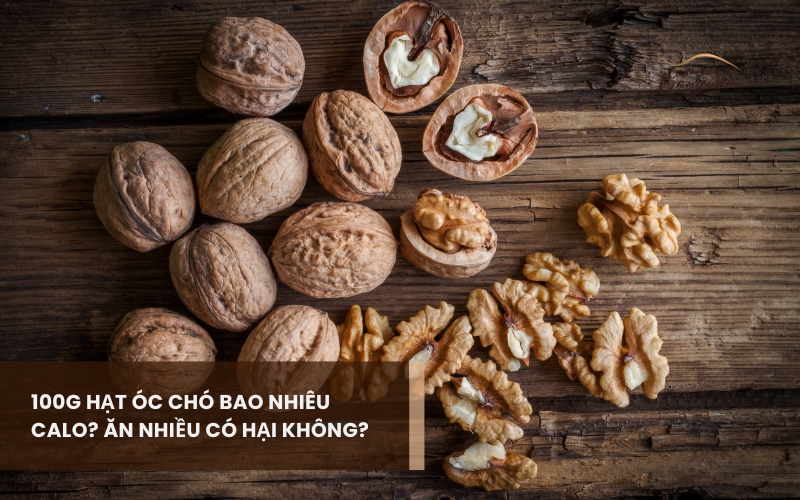 Giải đáp chi tiết hạt óc chó chứa bao nhiêu calo? Có những lợi ích gì cho sức khỏe? 