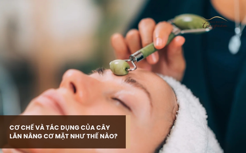 Dùng cây lăn nâng cơ mặt tác động vào da như thế nào? Hiệu quả thực tế có tốt hay không? 