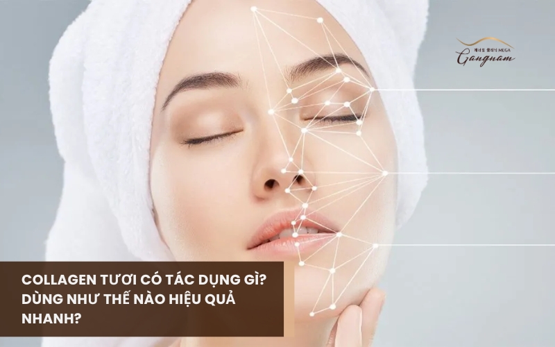 Giải đáp công dụng thực tế của collagen tươi và cách bổ sung cho mục đích trẻ hóa da hiệu quả nhất