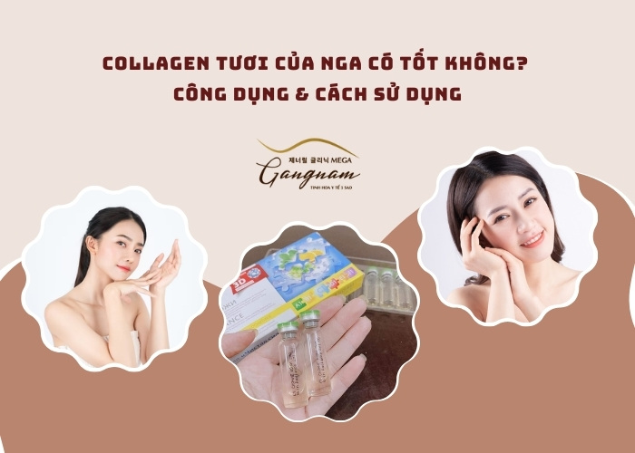 Collagen tươi có tốt không?