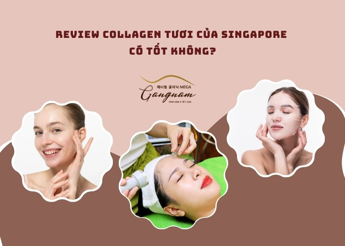 Collagen tươi của Singapore có tốt không?