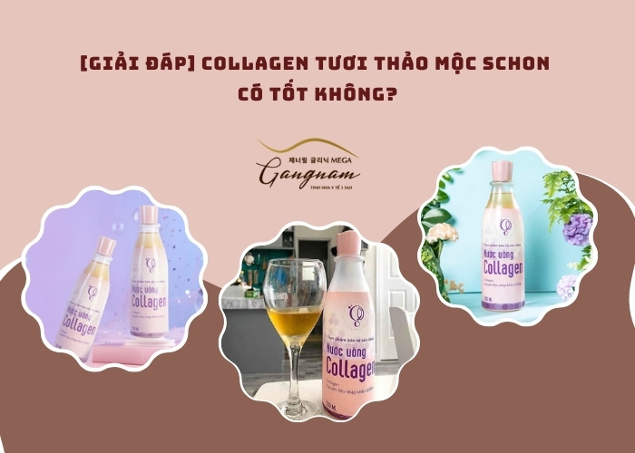 Nước uống Collagen Schon Thảo Mộc có tốt không?