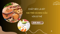 Chất béo là gì? Vai trò và nhu cầu của chất béo với cơ thể