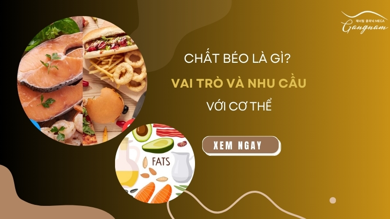 Chất béo là gì? Vai trò và nhu cầu của chất béo với cơ thể 