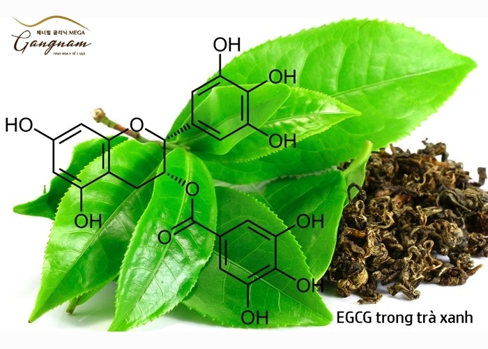 Chất chống lão hoá EGCG