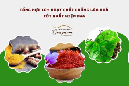 Tổng hợp 10+ hoạt chất chống lão hoá tốt nhất hiện nay