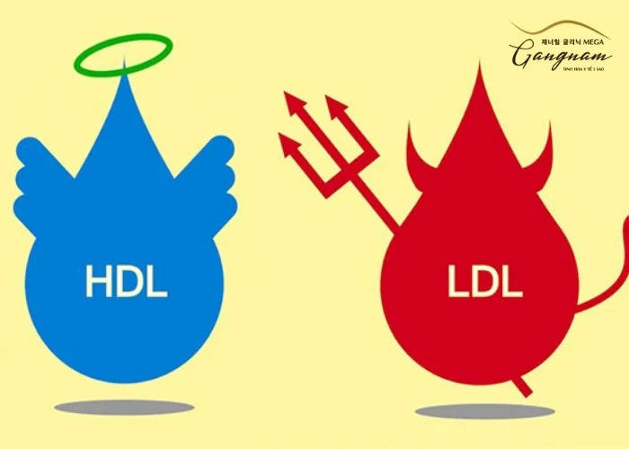 Cholesterol HDL-C