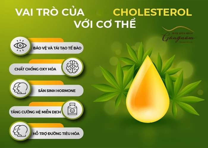 Vai trò của cholesterol đối với cơ thể